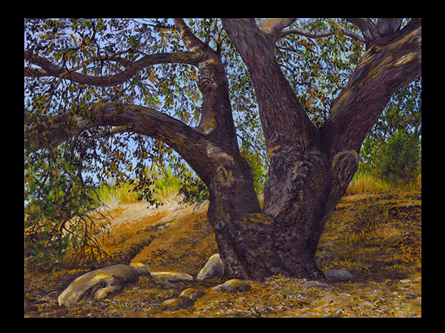 katie fagan graphics paintings-Mighty Oak
