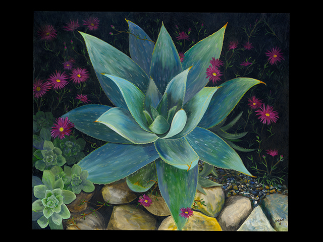 katie fagan graphics paintings-Succulent with Purple Flowers