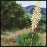 Yuccas in the Ojai Valley
